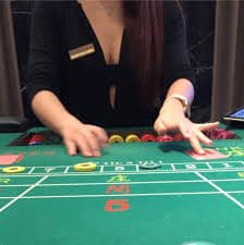 fi8bet